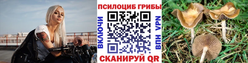Псилоцибиновые грибы мухоморы  гидра рабочий сайт  Котово 